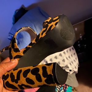 NEW Leopard platform